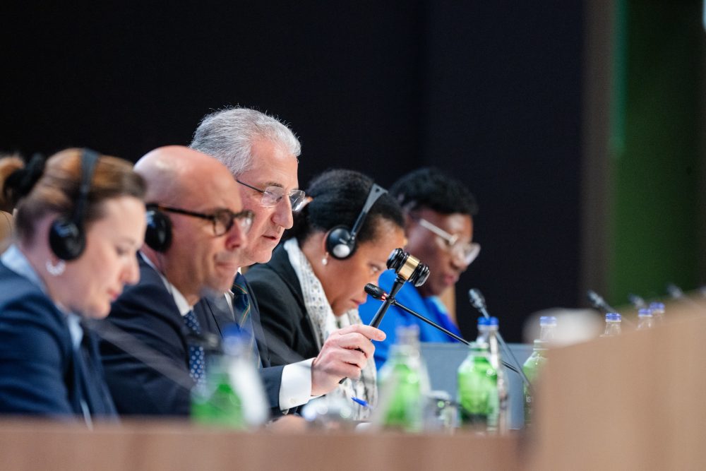 COP29 Azerbaijan in session