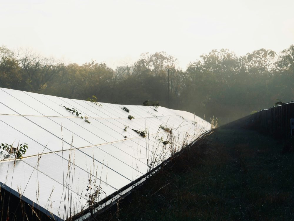 solar panels in a field