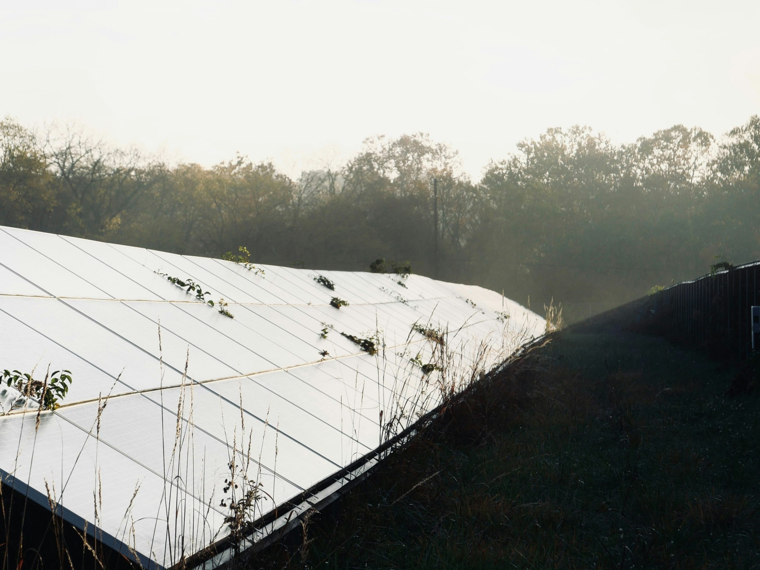 solar panels in a field