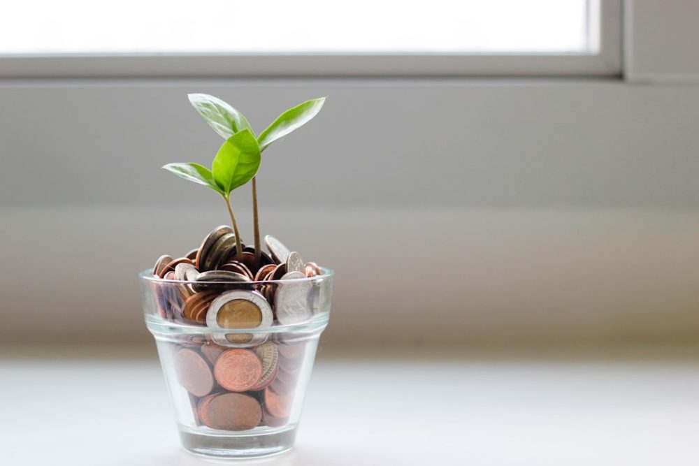 green plant growing out of a glass cup of money